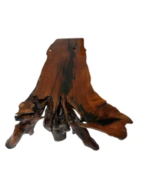 Organic Brutalist Large Tree Root Coffee Table, 1970s